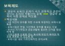 복지국가유형별 출산정책과 한국의 출산정책의 지향점 모색 연구 - 미국, 프랑스, 독일, 스웨덴 사례를 중심으로  46페이지