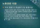 복지국가유형별 출산정책과 한국의 출산정책의 지향점 모색 연구 - 미국, 프랑스, 독일, 스웨덴 사례를 중심으로  56페이지