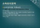 복지국가유형별 출산정책과 한국의 출산정책의 지향점 모색 연구 - 미국, 프랑스, 독일, 스웨덴 사례를 중심으로  65페이지