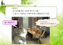부모와 자녀 관계및 대인관계 3페이지