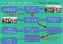 특허보세구역 16페이지