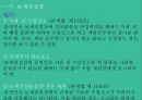 특허보세구역 31페이지