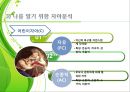 인간관계 속의 자기이해 12페이지