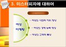 마케팅 성공사례「미스터피자」 15페이지