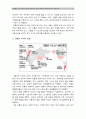 [헌재 간통죄 위헌결정] 헌법재판소(헌재)의 간통죄(姦通罪) 위헌선고에 따른 간통죄 폐지 찬반입장과 견해 -간통죄 폐지찬성 vs 간통죄 폐지반대 (간통죄의 정의와 역사와 현황, 보호법익과 실효성, 해외사례) 4페이지