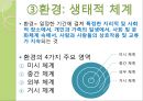 생태체계이론(생태체계관점, 등장배경, 주요개념, 4체계모델, 6체계모델, 생태도, 가계도, 일반체계이론) PPT, 파워포인트 12페이지