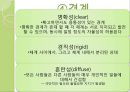 생태체계이론(생태체계관점, 등장배경, 주요개념, 4체계모델, 6체계모델, 생태도, 가계도, 일반체계이론) PPT, 파워포인트 13페이지