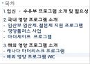 임신 수유부 영양프로그램(지역사회영양학, 국내영양프로그램, 철분제지원, 영양플러스, 마더세이프사업, 해외영양프로그램) PPT, 파워포인트 2페이지