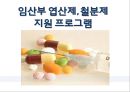 임신 수유부 영양프로그램(지역사회영양학, 국내영양프로그램, 철분제지원, 영양플러스, 마더세이프사업, 해외영양프로그램) PPT, 파워포인트 10페이지
