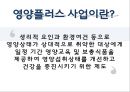 임신 수유부 영양프로그램(지역사회영양학, 국내영양프로그램, 철분제지원, 영양플러스, 마더세이프사업, 해외영양프로그램) PPT, 파워포인트 15페이지
