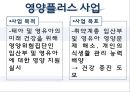 임신 수유부 영양프로그램(지역사회영양학, 국내영양프로그램, 철분제지원, 영양플러스, 마더세이프사업, 해외영양프로그램) PPT, 파워포인트 16페이지