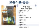 임신 수유부 영양프로그램(지역사회영양학, 국내영양프로그램, 철분제지원, 영양플러스, 마더세이프사업, 해외영양프로그램) PPT, 파워포인트 37페이지