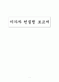 이가자 컨설팅 보고서  1페이지