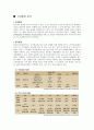 차세대 인터넷 광고대행사 7페이지