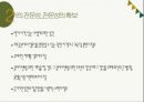 전문가역할 및 기능관련 윤리적쟁점(사회복지윤리와철학,사회복지실천기록, 실천가전문성, 사례소개) PPT, 파워포인트 8페이지