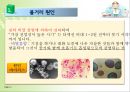 [유행성 이하선염] 볼거리 란? - 볼거리 발표자료 (볼거리 정의·원인·증상·진단·치료·경과·합병증·예방방법, 보도자료).pptx 4페이지