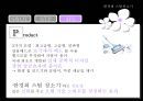 한경희 스팀 청소기 PPT 10페이지