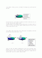 올림푸스(Olympus)의 향후 마케팅 전략 [디지털카메라 시장의 성숙기] 21페이지