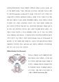 [건축과 도시설계] ‘에버니저 하워드 (Ebenezer Howard)’의 전원도시계획 (Who is Ebenezer Howard &What is the characteristics of Howard’s Garden City Theory?) {전원도시, 적용} 3페이지