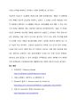[건축과 도시설계] ‘에버니저 하워드 (Ebenezer Howard)’의 전원도시계획 (Who is Ebenezer Howard &What is the characteristics of Howard’s Garden City Theory?) {전원도시, 적용} 13페이지