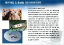 기업의 해외시장 진출방법 (간접수출 / 직접수출, 해외간접투자 / 해외직접투자, 계약진출).ppt 26페이지