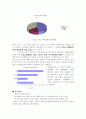 한국디즈니 키덜트족 공략하기 2페이지