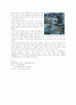 1990년대 초반-1997년 홍콩 반환기의 혼돈상 7페이지