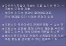 독일의통일 24페이지