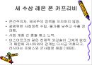 독일제국 외교 16페이지