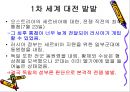 독일제국 외교 27페이지