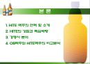 HITE 측에서의 맥주시장 분석 PPT  4페이지