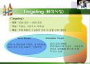 HITE 측에서의 맥주시장 분석 PPT  17페이지