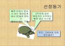 자라 PPT 4페이지