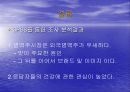 맥주와 삼계탕 - 병맥주 시장의 새로운 첨가맥주 공략법 (국내주류문화의 변화와 조사 목적, 가설설정 및 조사결과분석).ppt 23페이지