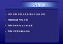 뱅뱅조사 3페이지