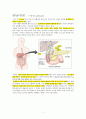 cholecystectomy (LC,OC) 담낭절제술 담낭적출술 2페이지