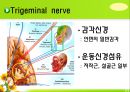 뇌신경 (腦神經 cranial nerve) 레포트.ppt 20페이지
