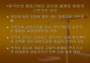 시장경제,불평등 및 그 대책 .pptx 50페이지
