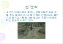 영화란 무엇인가 - 지아장커(賈樟柯)를 통해 알 수 있는 것들.ppt 21페이지