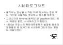 영화의 역사 (뤼미에르 형제에서 오손 웰스까지, 2차 대전 후의 영화).ppt 26페이지