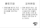 영화의 역사 (뤼미에르 형제에서 오손 웰스까지, 2차 대전 후의 영화).ppt 27페이지