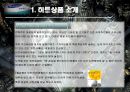 히트상품 사례조사 - 타워팰리스(Tower Palace)  4페이지