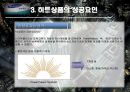 히트상품 사례조사 - 타워팰리스(Tower Palace)  12페이지