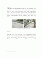 보행자 거리의 바닥포장재의 특징 {보행로의 정의와 구성요소, 유형 및 형태, 보행로 포장디자인, 포장디자인요소, 포장 재료, 이동패턴과 포장디자인유형} 12페이지