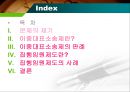 이중대표소송제,집행임원제도 2페이지