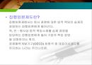 이중대표소송제,집행임원제도 10페이지