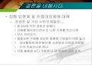 이중대표소송제,집행임원제도 16페이지
