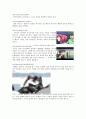 [만화영상의 이해] 엘펜리트 Elfen Lied 5페이지