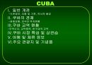 CUBA & VENEZUELA 상관습 및 상거래 관계 PPT 2페이지
