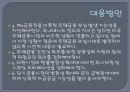 Sub-Prime mortgage 29페이지